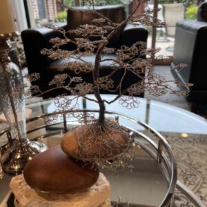 Bonsai on the Rocks
