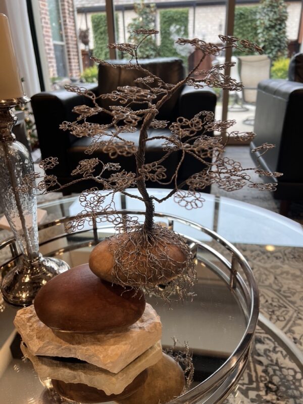 Bonsai on the Rocks