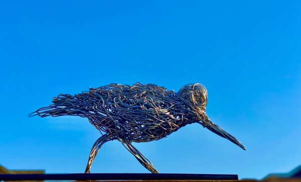 Sandpiper - Image 2