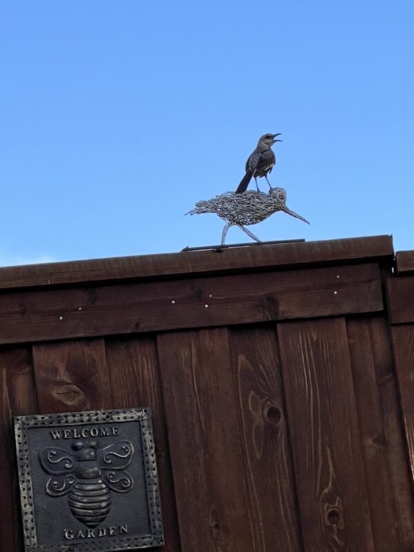 Sandpiper - Image 3