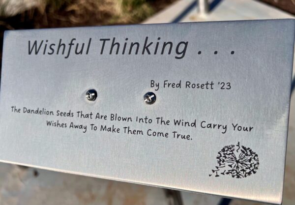 Wishful Thinking - Image 3